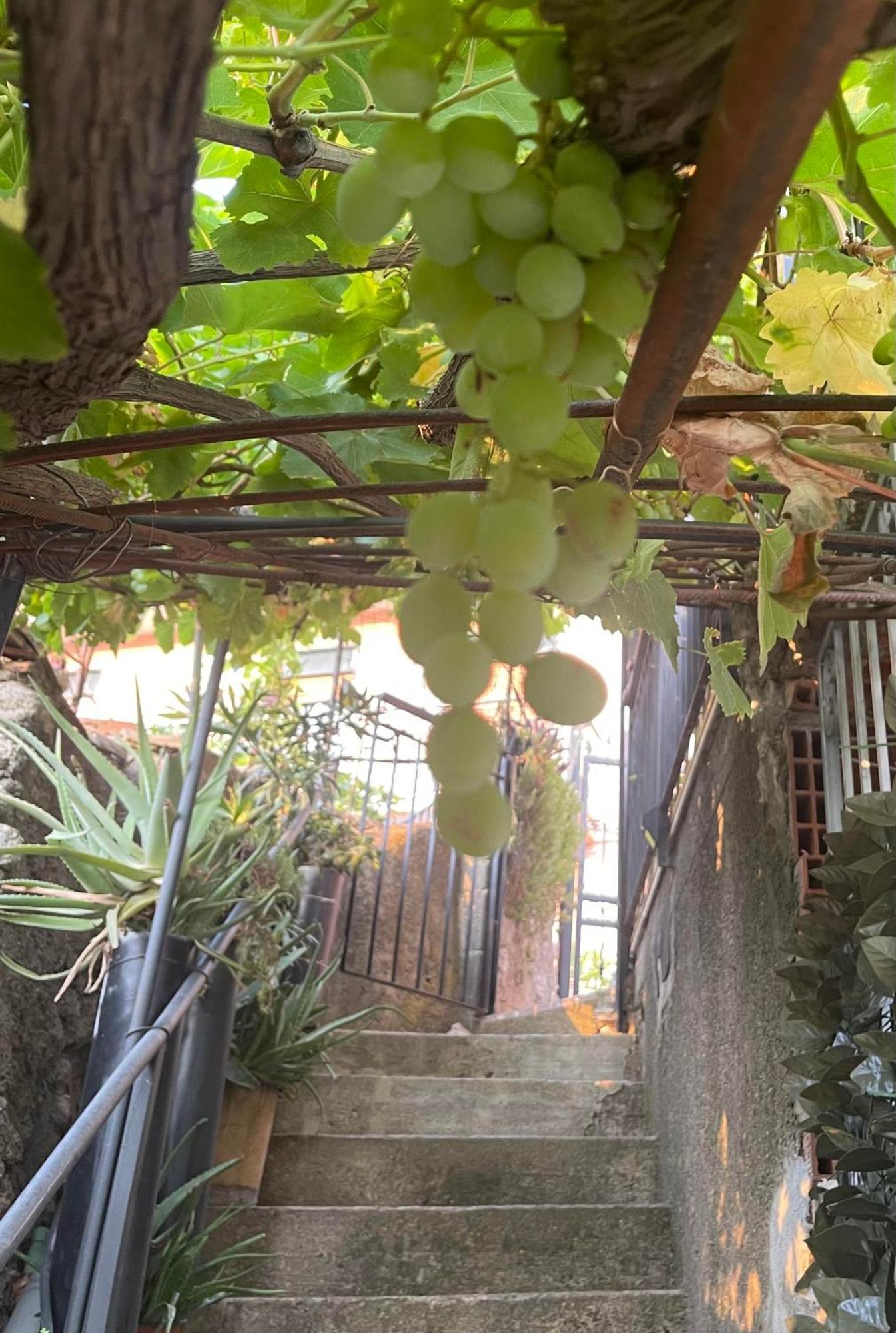 The Secret Garden Villa Forza dʼAgro Екстериор снимка