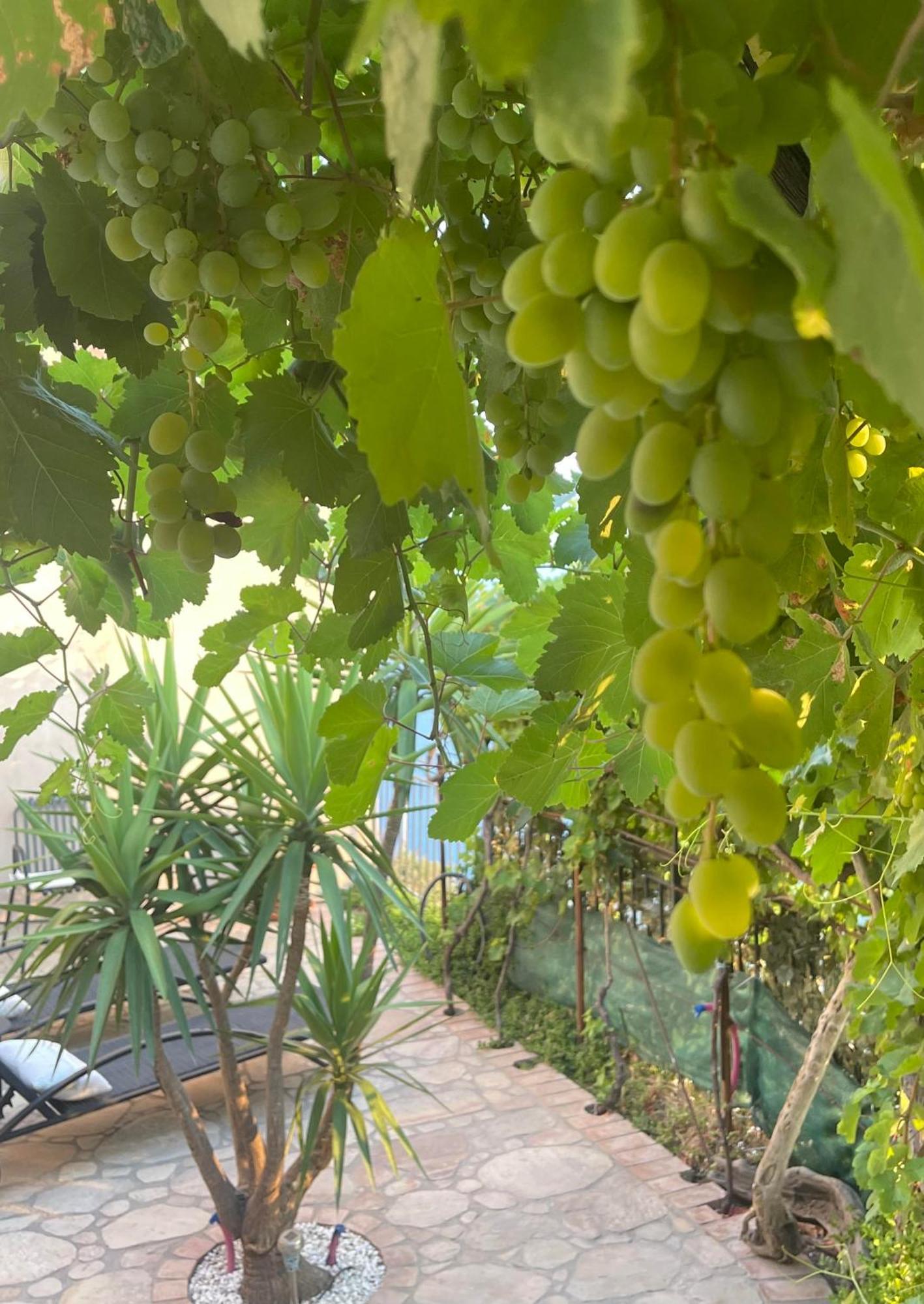 The Secret Garden Villa Forza dʼAgro Екстериор снимка